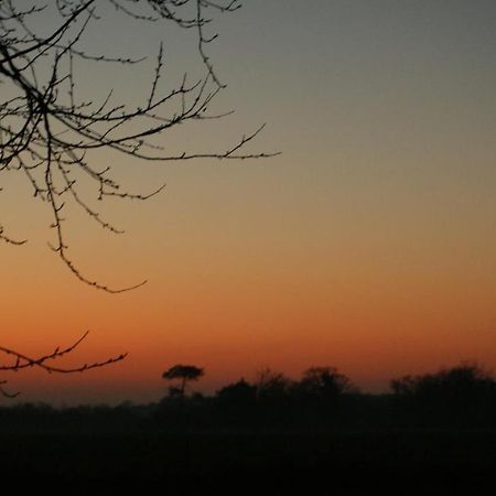 Gite Le Coucher De Soleil Plesse Exterior photo